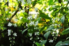 冬の生物園２０２５～ⅸ