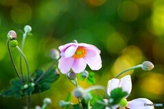 秋への入口