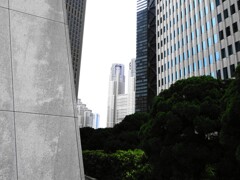 ビルの谷間の新宿都庁