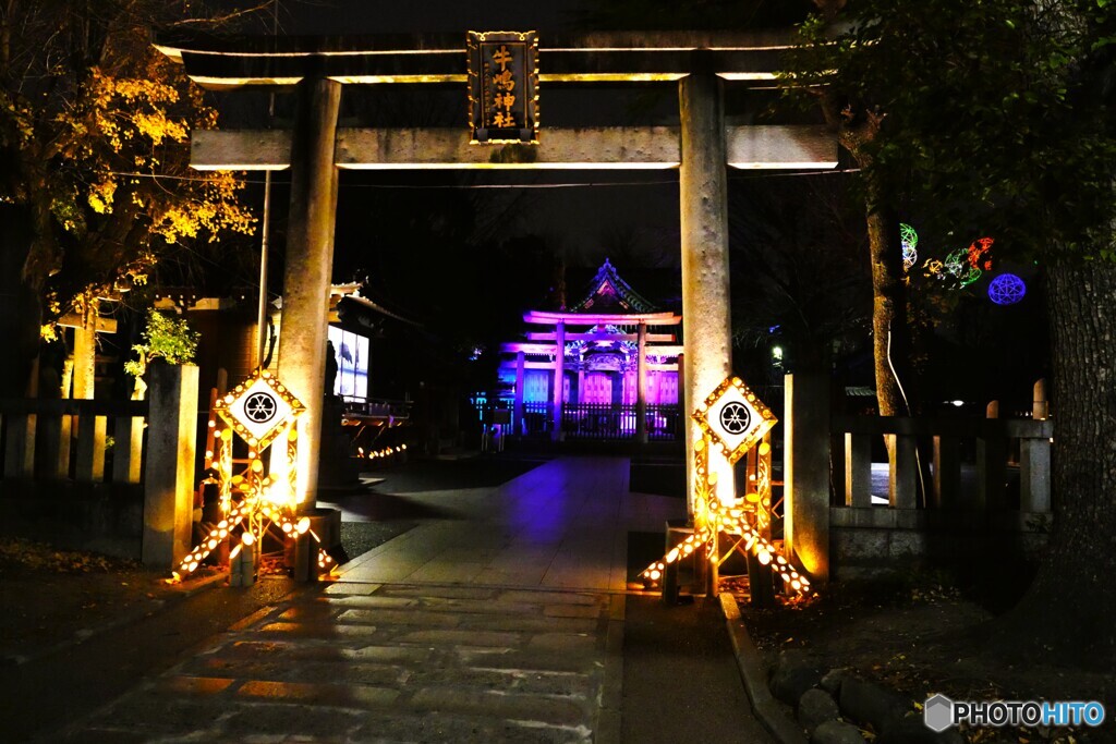 東京下町回遊竹あかり～ⅲ