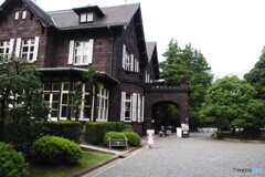 秋の旧古川庭園～ⅴ
