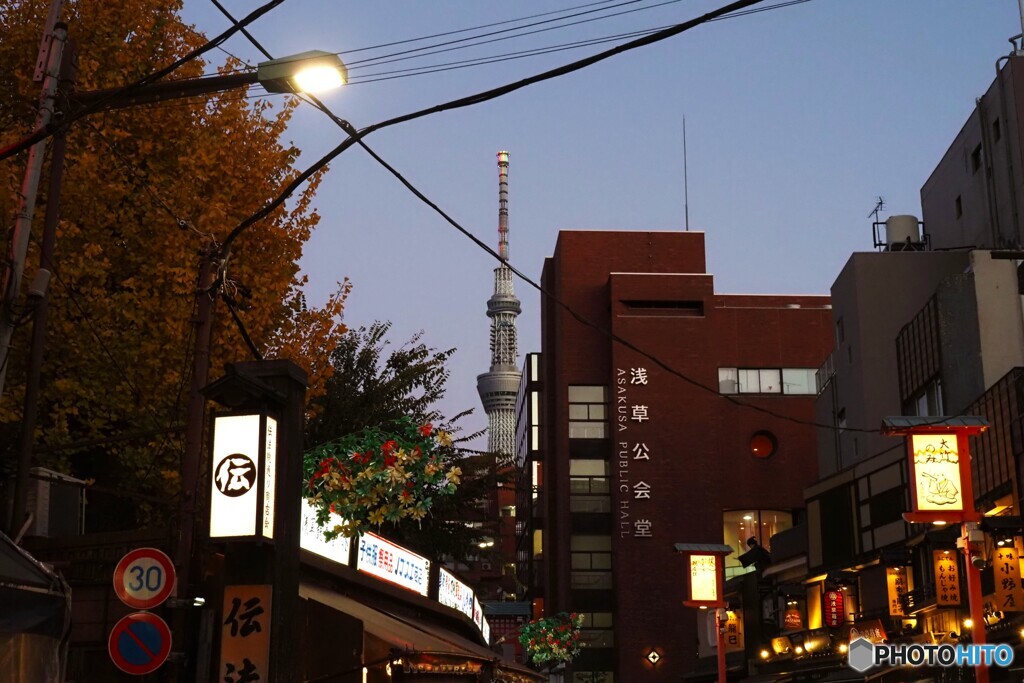 浅草にて～ⅱ