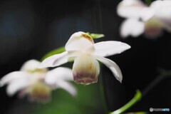 赤城自然園～②