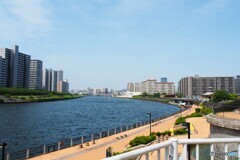 隅田川河川敷