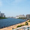隅田川河川敷