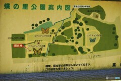 蝶の里公園