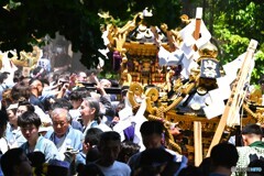 三社祭・町内神輿連合渡御～ⅱ