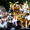三社祭・町内神輿連合渡御～ⅱ