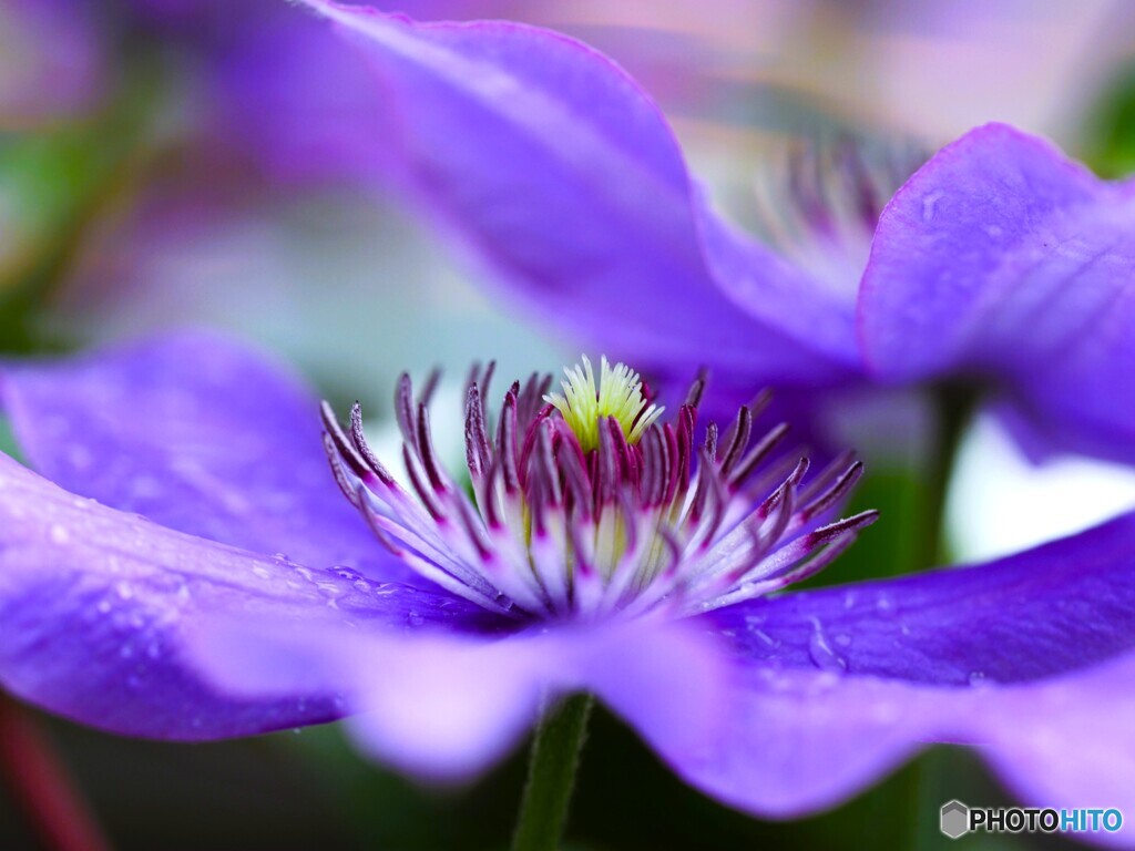 雨の日の策略～ⅳ