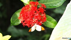 冬の生物園２０２５～ⅻ