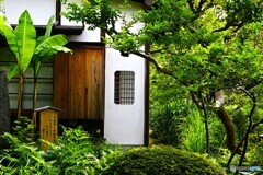 向島百花園～ⅴ