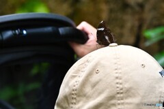 春の生物園～ⅹ