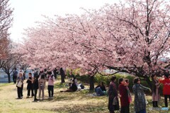 土曜日の賑わい～ⅱ