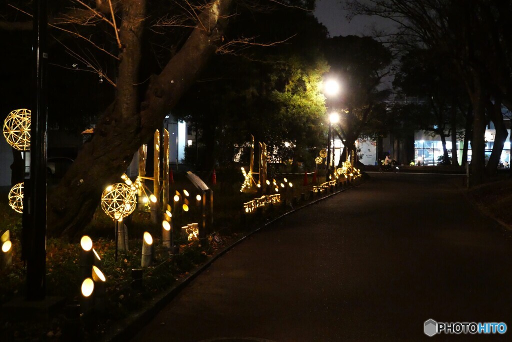 東京下町回遊竹あかり～ⅶ