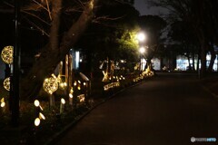 東京下町回遊竹あかり～ⅶ