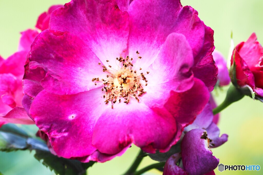 アンデルセン公園～xiii