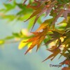 榛名湖～④