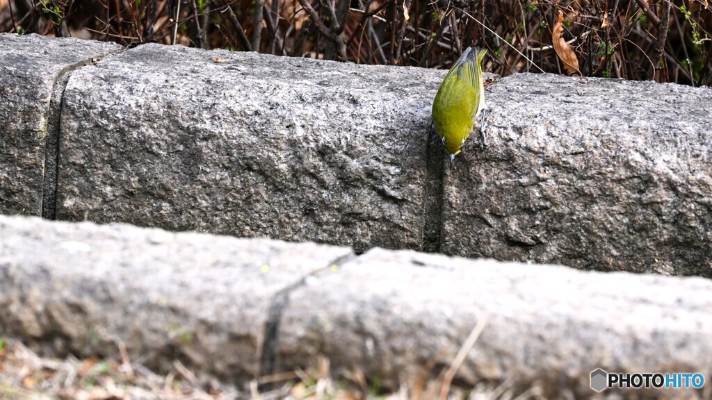 何かを見つけた～？？