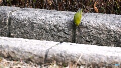 何かを見つけた～？？