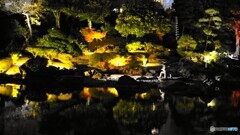 SUMIDA光のナイトガーデン2025～ⅲ