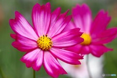 アンデルセン公園～ⅸ