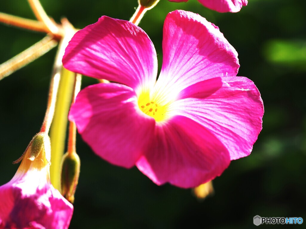 あなたと共に～ⅱ