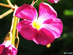 あなたと共に～ⅱ