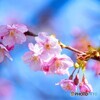 昨年の２月10日～ⅱ