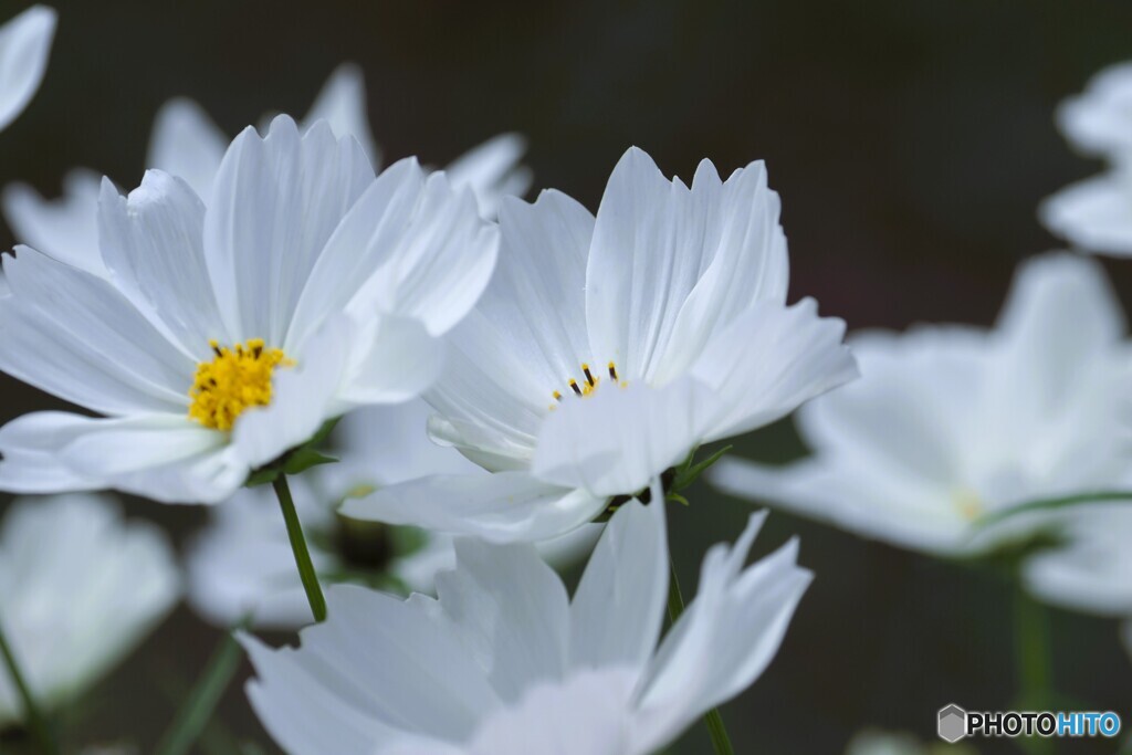 アンデルセン公園～ⅹ