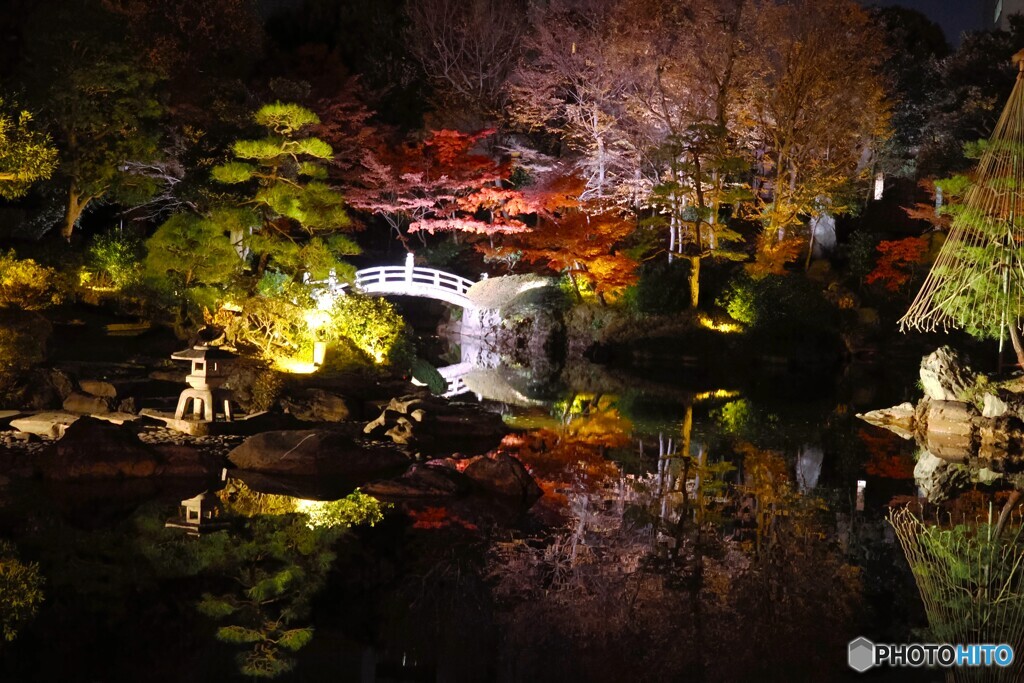 旧安田庭園～ⅳ