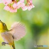 汐入サクジロー④