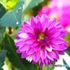 アンデルセン公園～xix