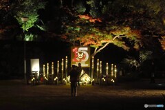 ーひごあかりー２０２４～ⅺ