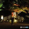 ーひごあかりー２０２４～ⅺ