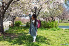 入学おめでとう、、、。