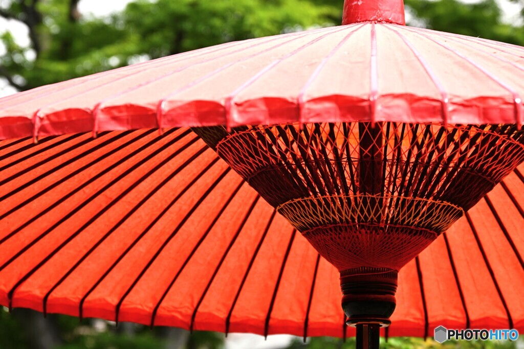 向島百花園～ⅱ