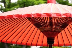向島百花園～ⅱ