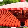向島百花園～ⅱ