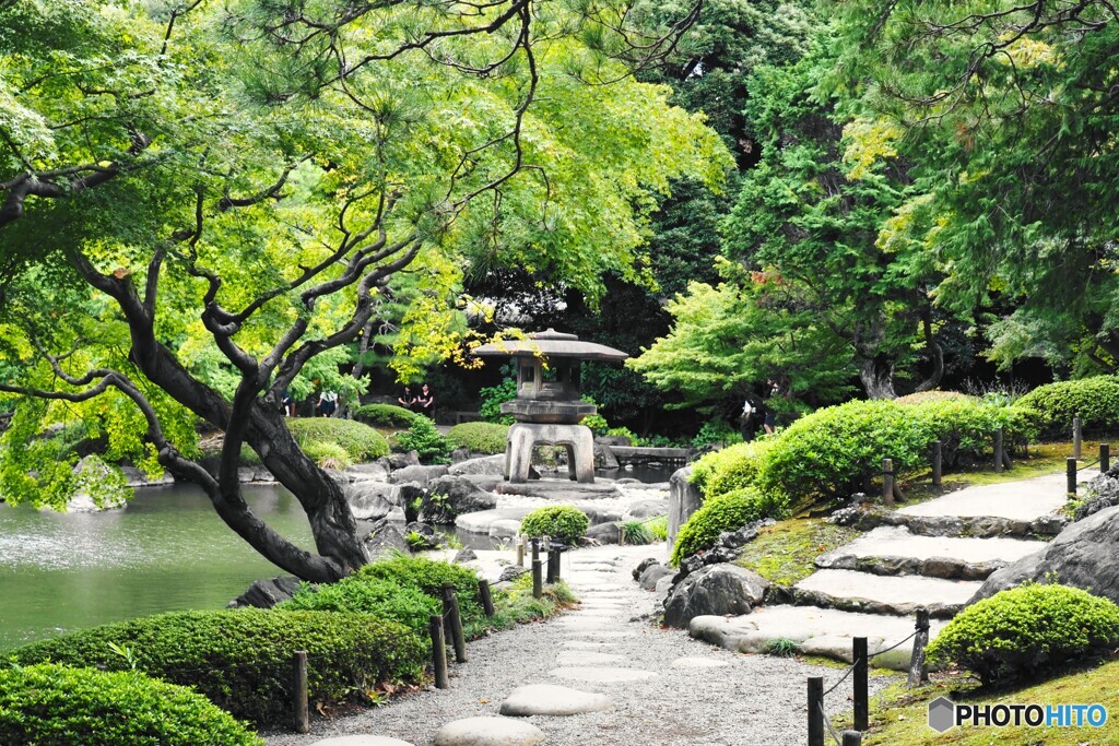 秋の旧古川庭園～ⅳ
