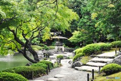 秋の旧古川庭園～ⅳ