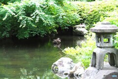 日本庭園