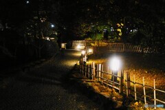 旧安田庭園～ⅴ