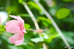 夏休み中の生物園～ⅸ