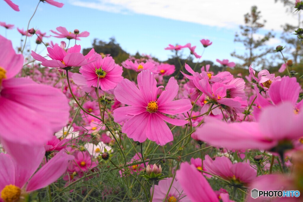 アンデルセン公園～ⅷ