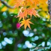 石浜神社～ⅲ