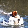 気持ちいい