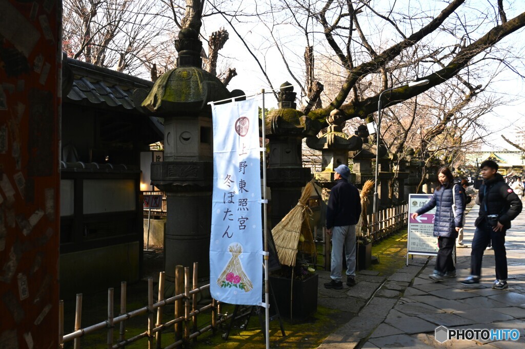 上野東照宮牡丹園～ⅰ