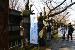 上野東照宮牡丹園～ⅰ