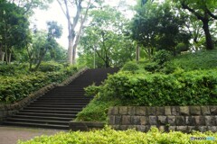 新宿中央公園