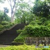 新宿中央公園